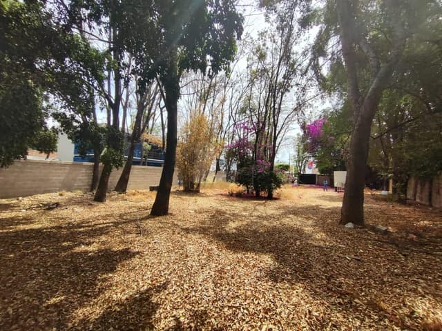TERRENO EN VENTA EN EL CENTRO DEL PUEBLITO