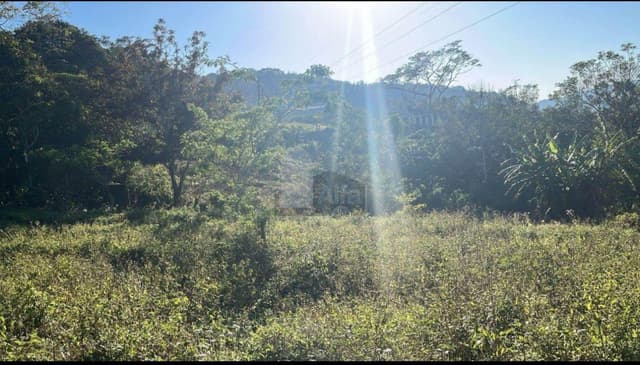 Venta de Terreno San Andres Tuxtla