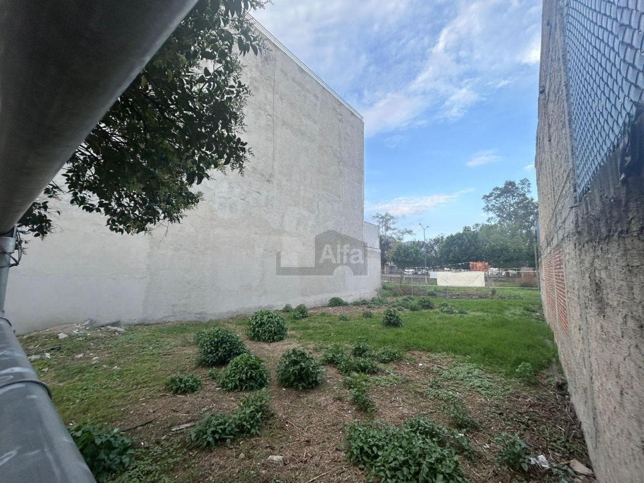 Fotos adicionales