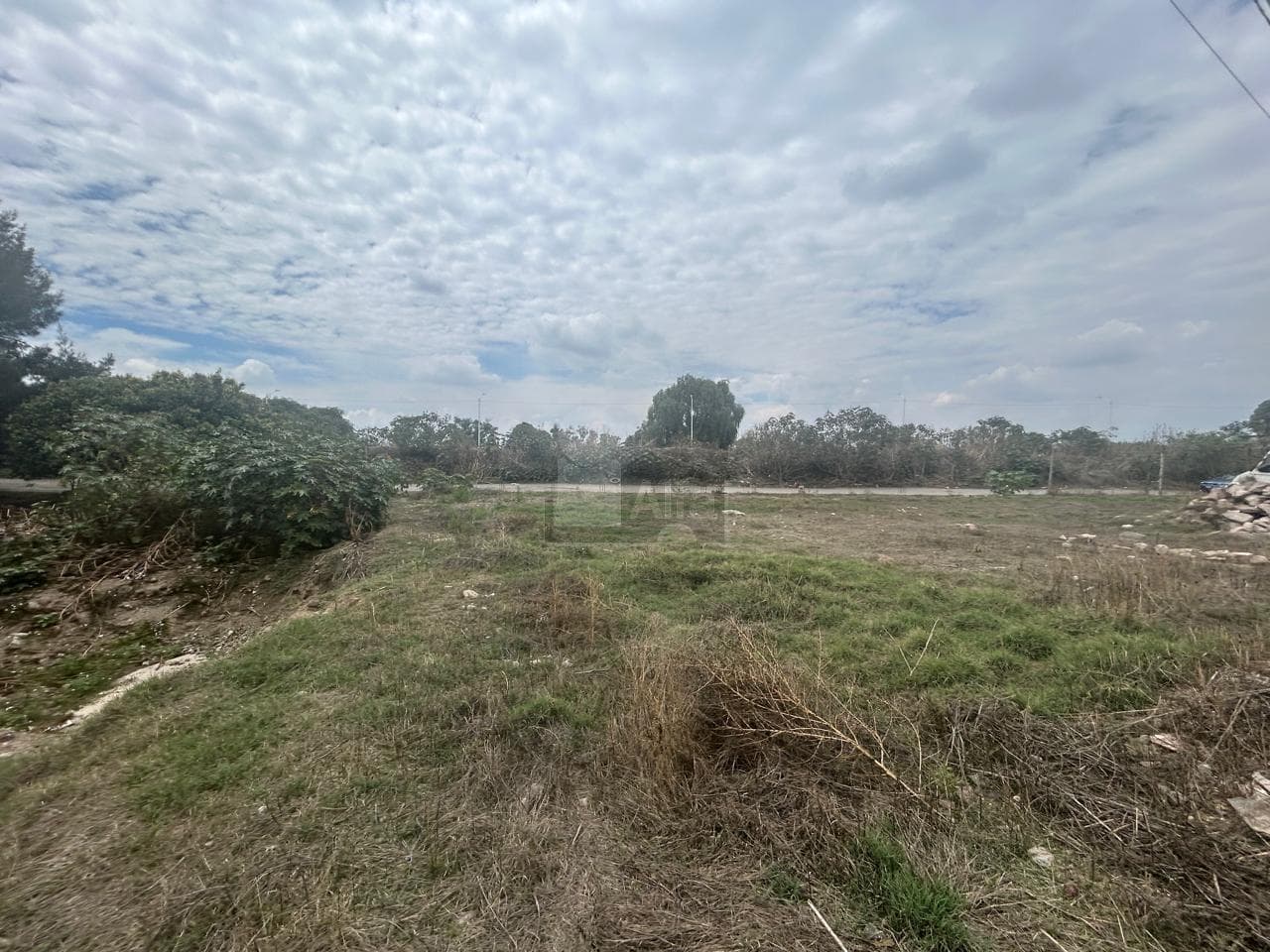 Fotos adicionales