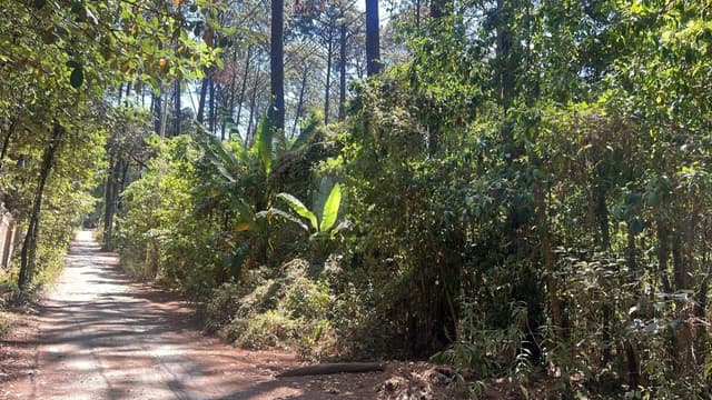 Terreno habitacional en venta en Avándaro, Valle de Bravo, México