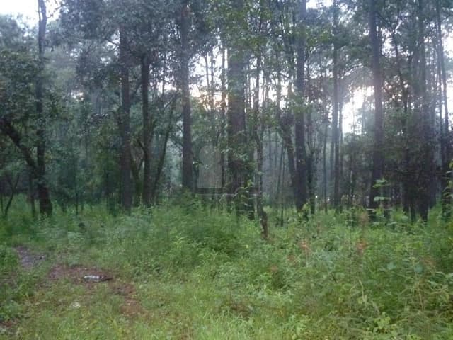 Terreno habitacional en venta en Avándaro, Valle de Bravo, México