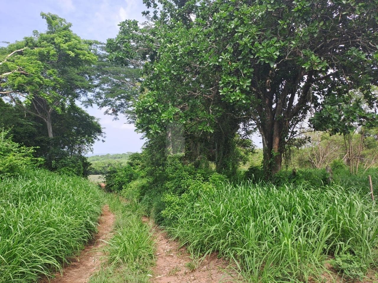 Fotos adicionales