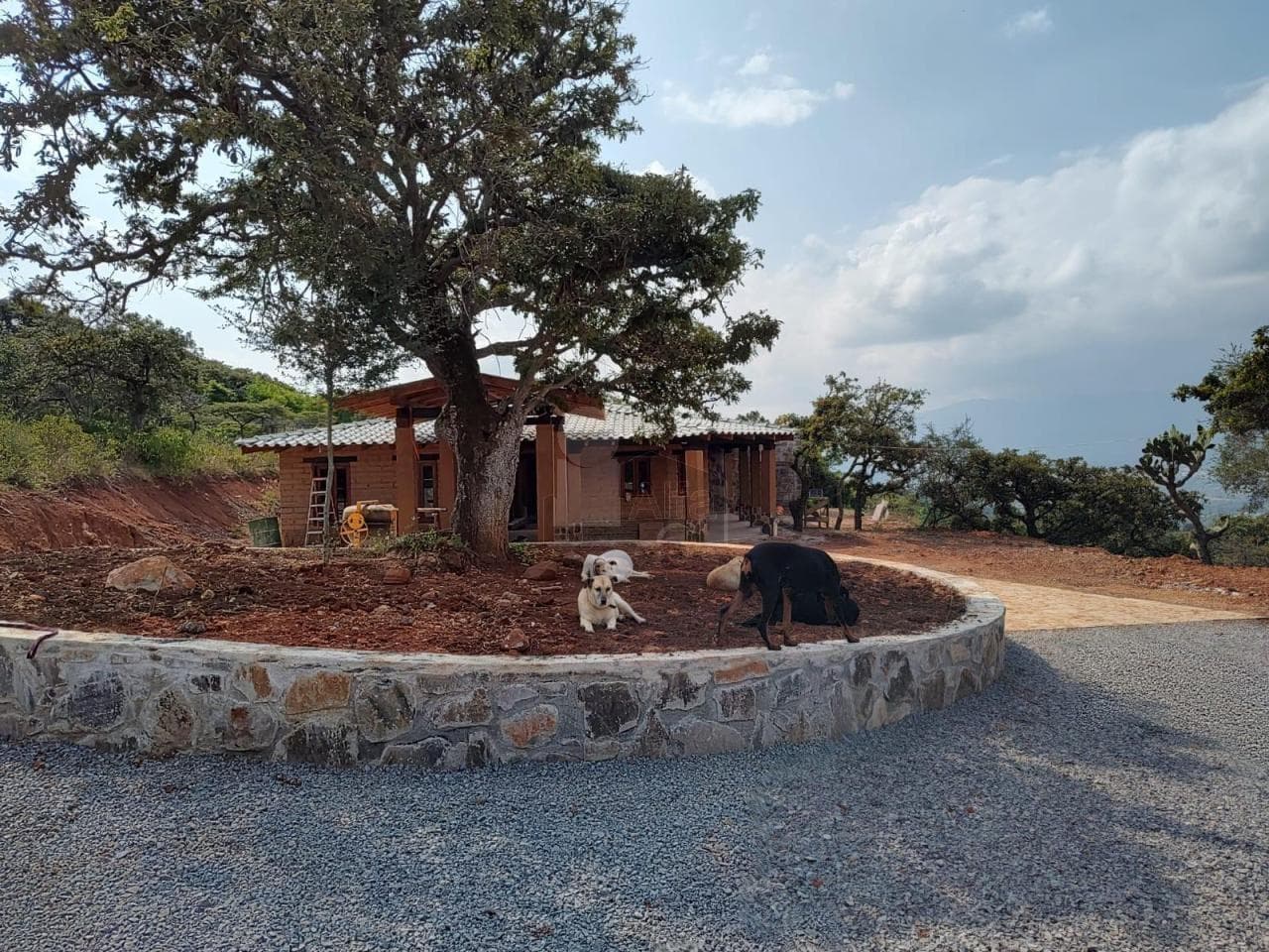 Fotos adicionales