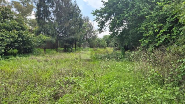 Terreno comercial en venta en San Miguelito, Irapuato, Guanajuato