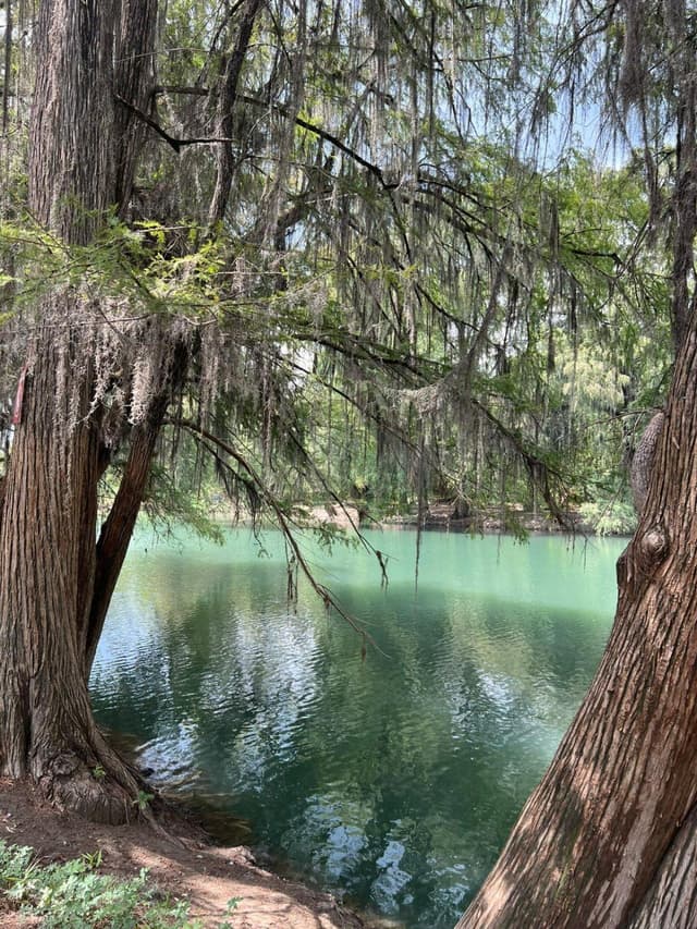 Terreno agrícola en venta en El Fraile, Montemorelos, Nuevo León