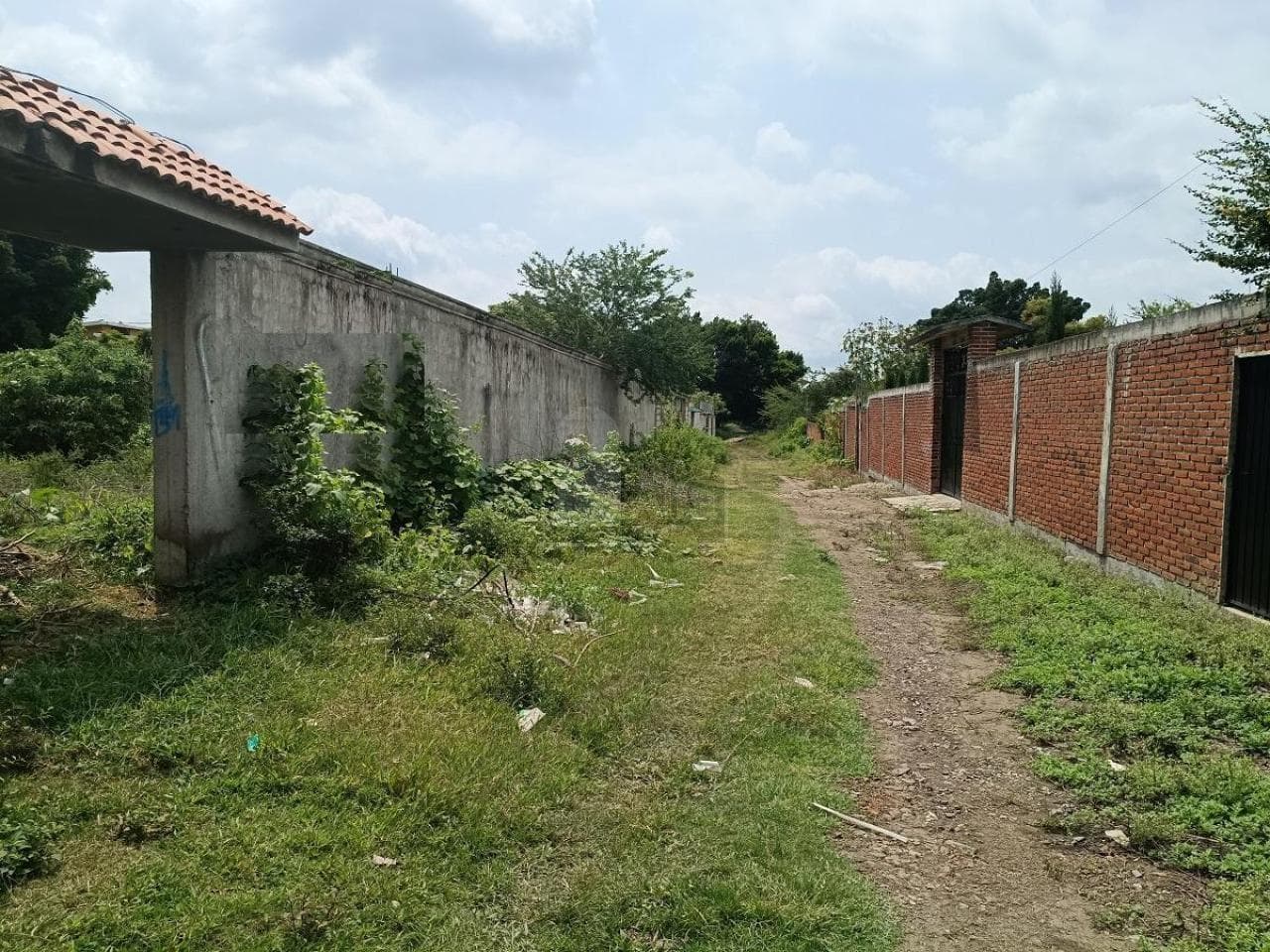 Fotos adicionales