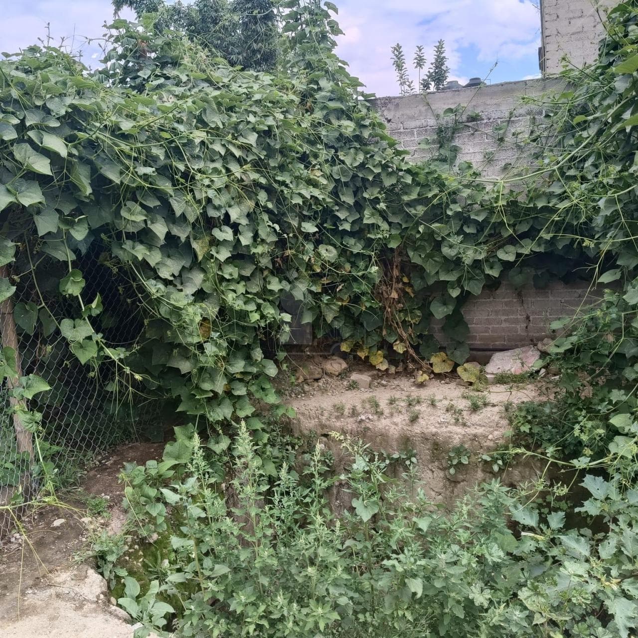 Fotos adicionales