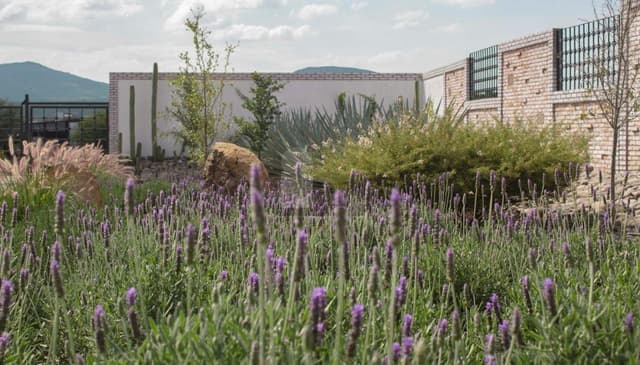 Terreno habitacional en venta en La Luz, San Miguel de Allende, Guanajuato