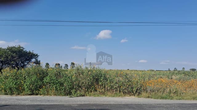 Terreno Agrícola en VENTA en Charco Blanco