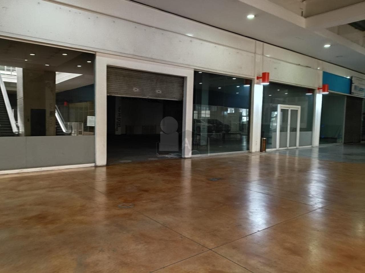 Fotos adicionales