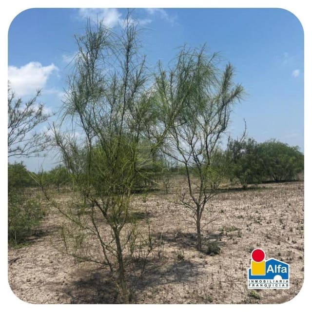 Terreno industrial en venta en Salinas Victoria, Salinas Victoria, Nuevo León