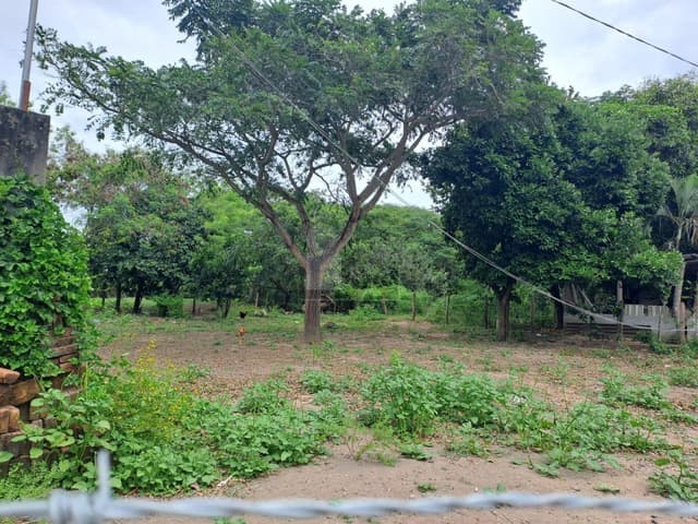 Terreno en venta Dos Bocas veracruz