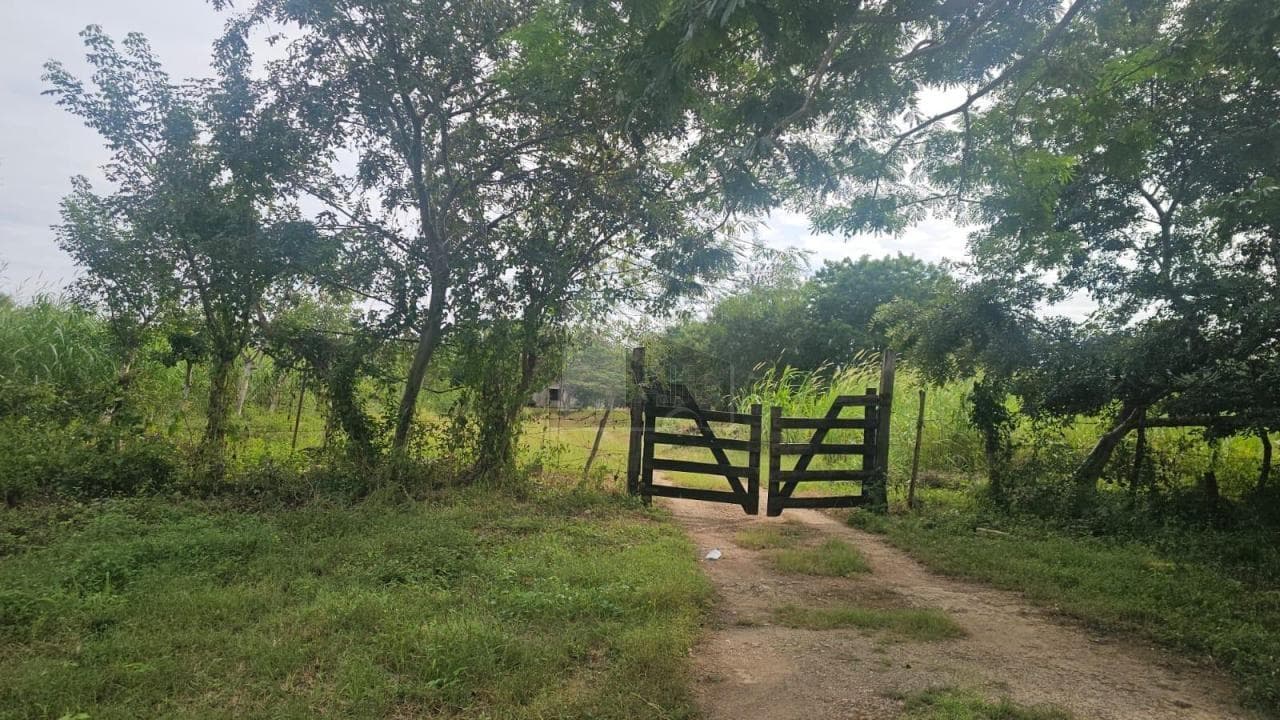 Fotos adicionales