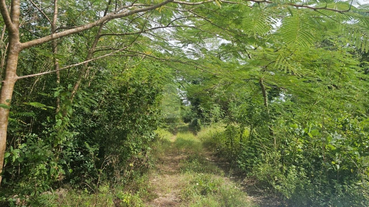 Fotos adicionales