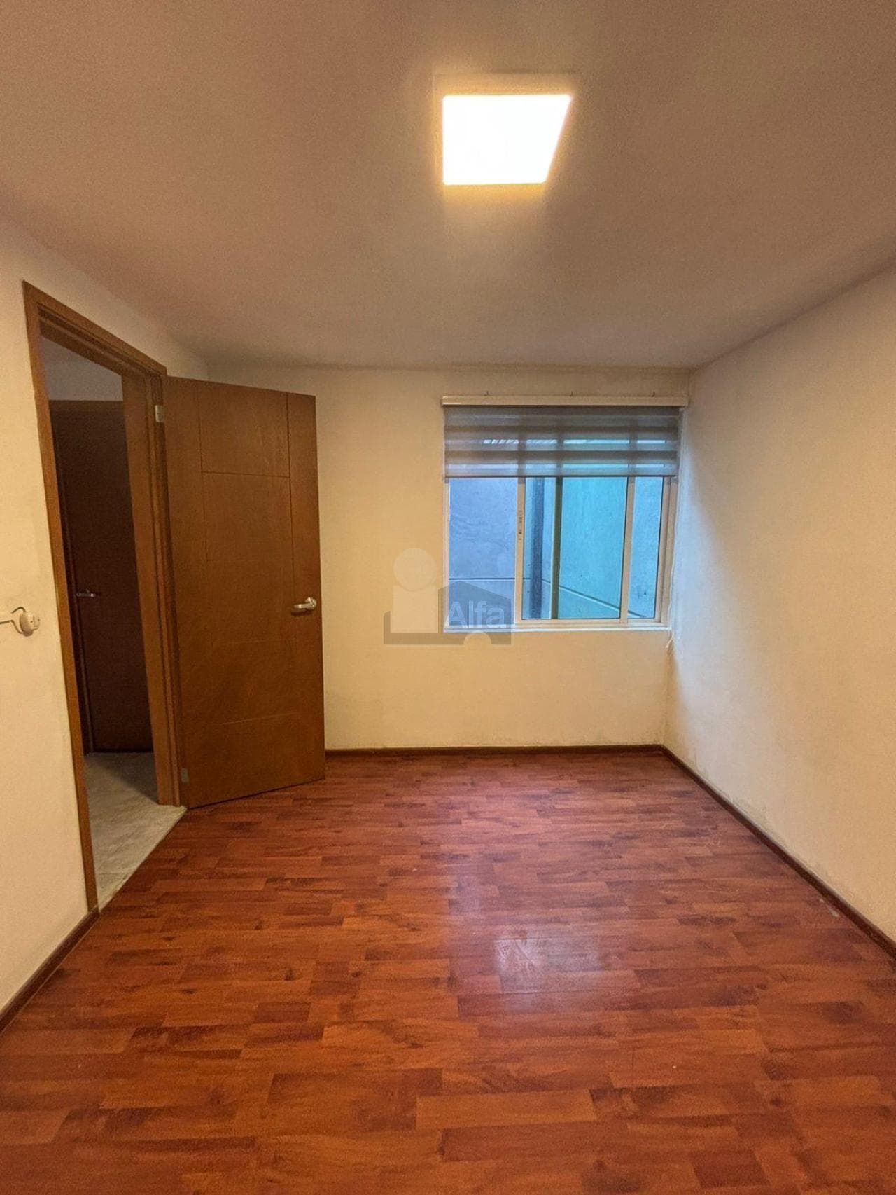 Fotos adicionales
