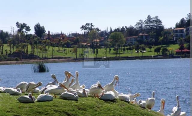 Terreno habitacional en venta en Cumbres del Lago, Querétaro, Querétaro