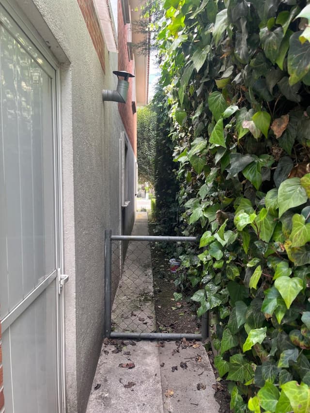 Renta Residencia amplia en El Mesón, Recámara PB Jardín, Alta Seguridad