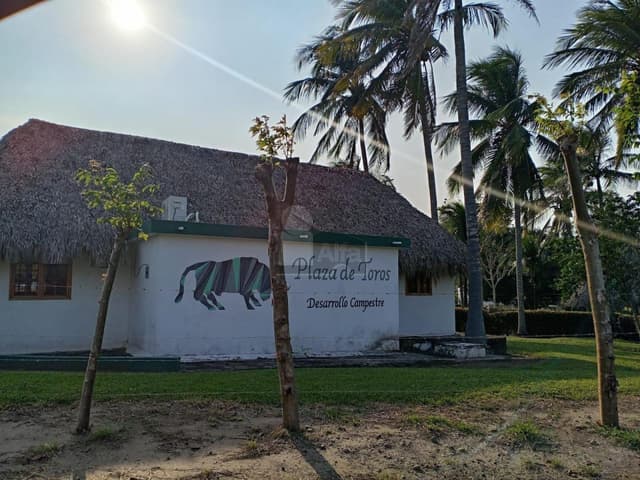 Venta de lindos Terrenos en paso del toro