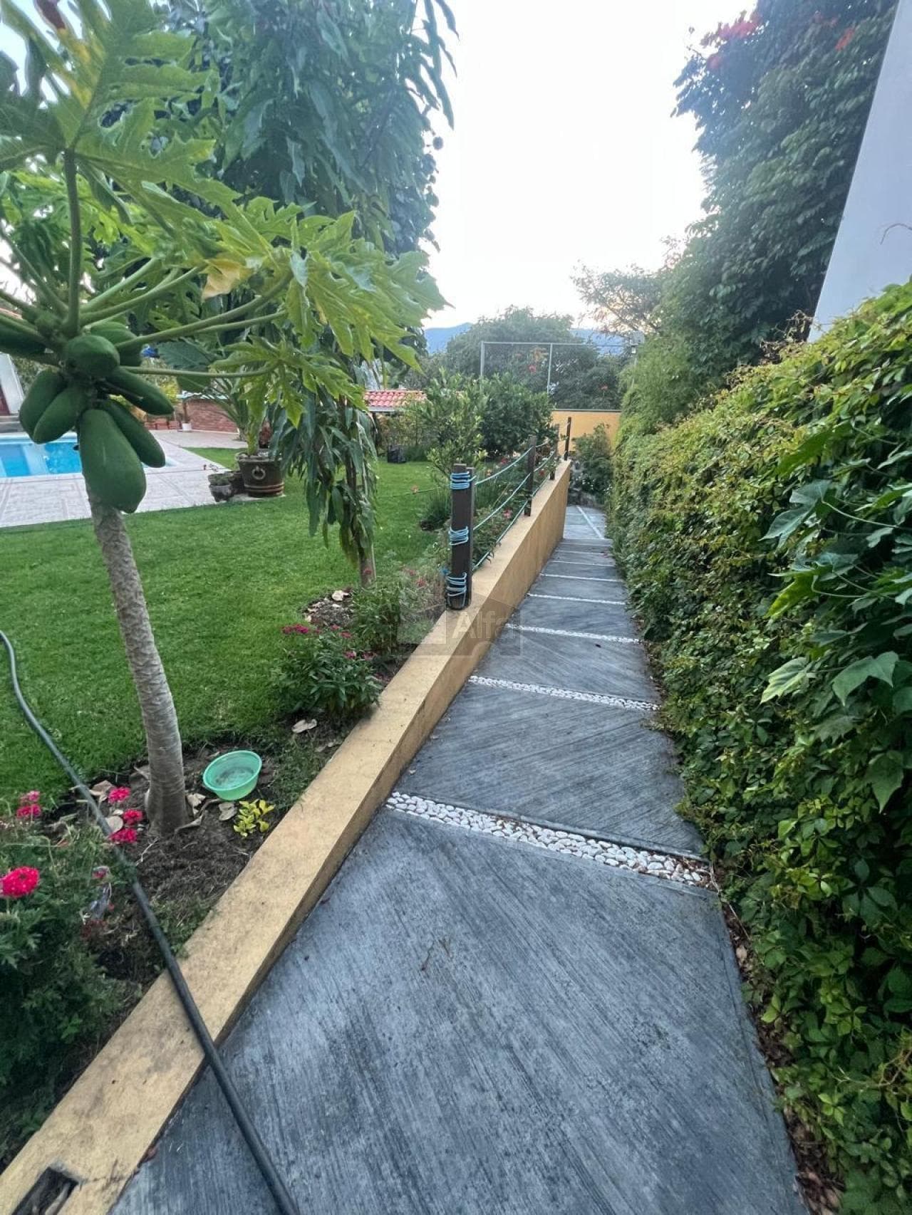 Fotos adicionales