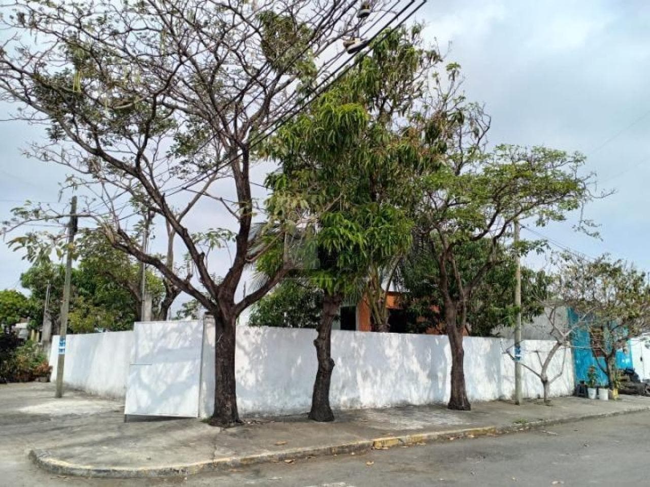 Fotos adicionales