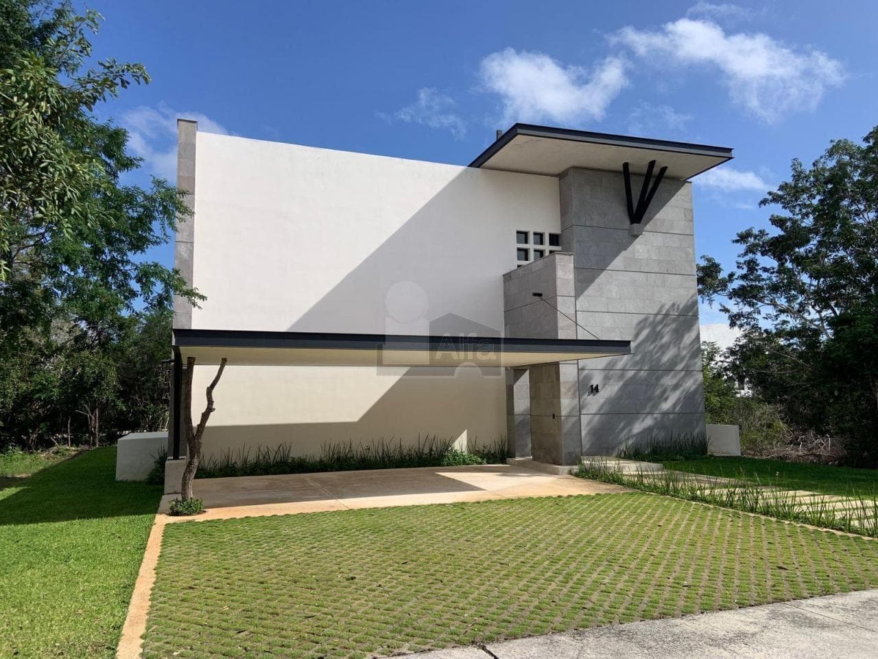 Fotos adicionales
