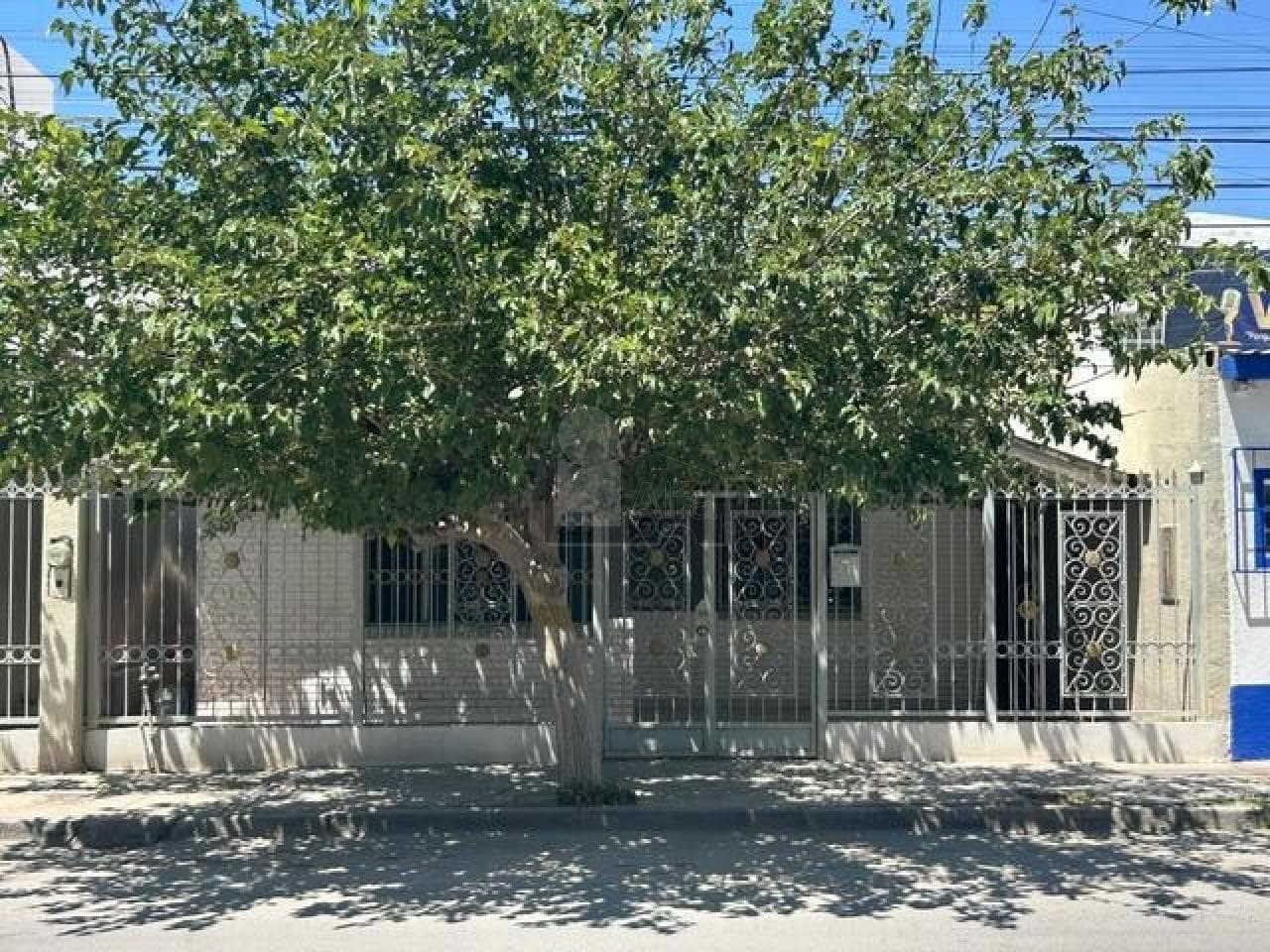 Fotos adicionales