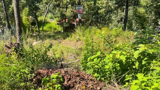 Terreno en Venta Valle de Bravo vista al Lago.