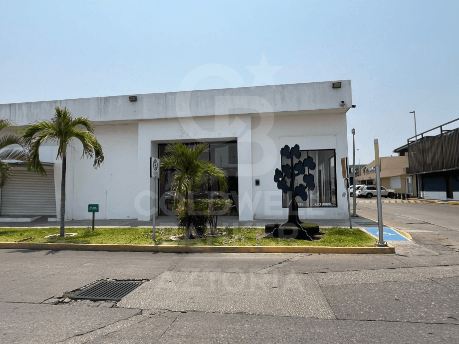 Fotos adicionales