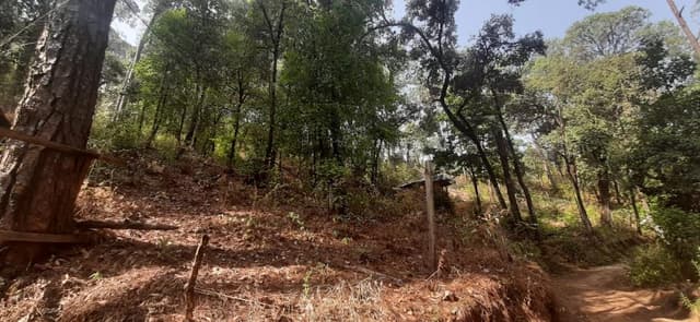 Terreno en Venta, en Avandaro. Excelente Oportunidad
