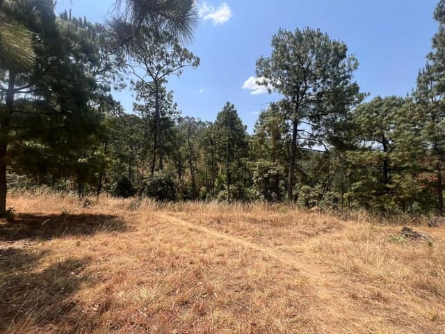 TERRENO EN VENTA, CERRO COLORADO