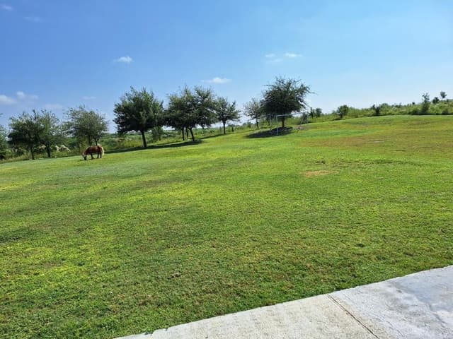 QUINTA EN MONTEMORELOS (LNB)