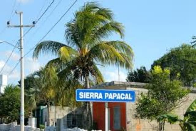 GRAN TERRENO EN SIERRA PAPACAL, YUCATAN