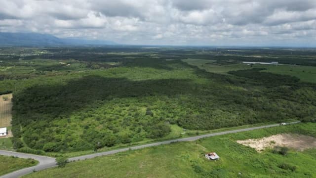 TERRENO EN VENTA EN LA MORITA MONTEMORELOS