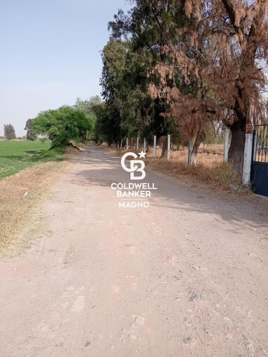 Fotos adicionales