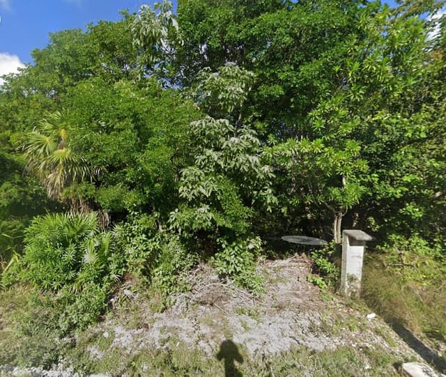 Terreno sobre avenida principal a 200 m del nuevo muelle de Royal Caribbean – Mahahual