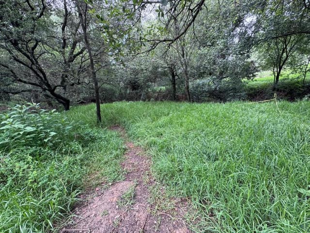 TERRENO EN VENTA CONDADO DE SAYAVEDRA