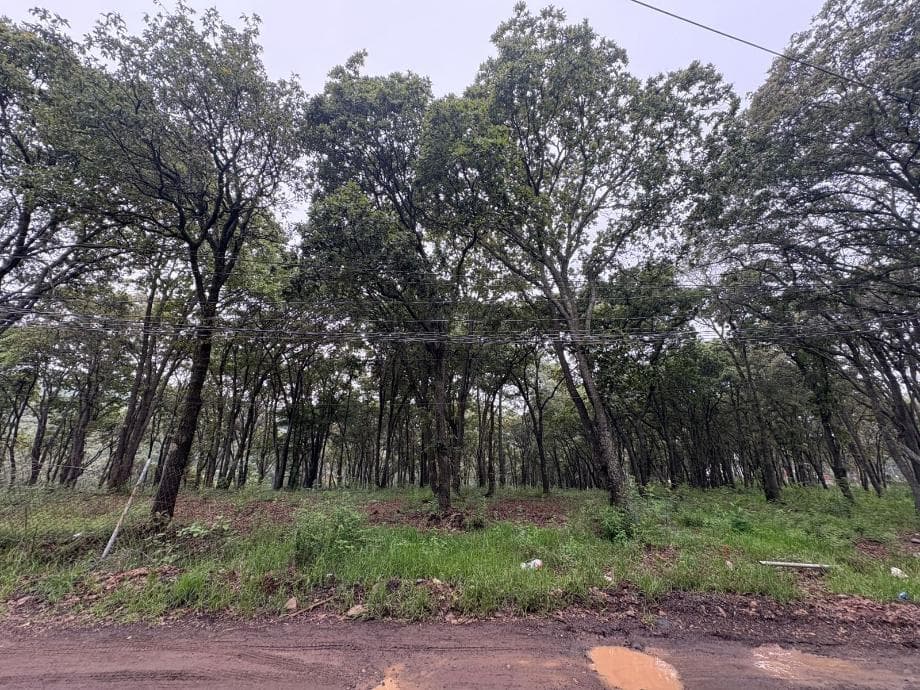 Fotos adicionales