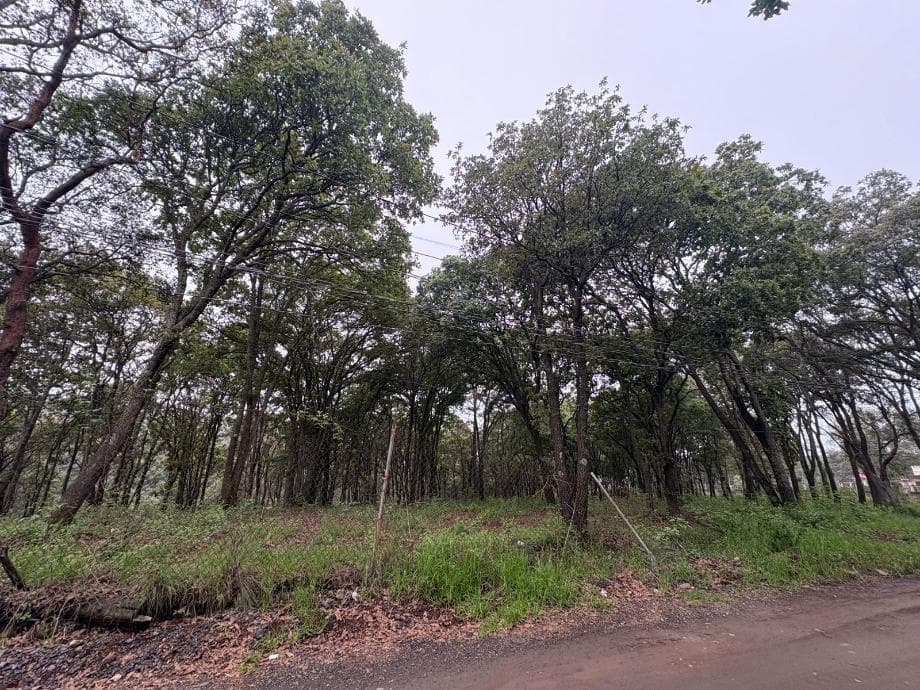 Fotos adicionales