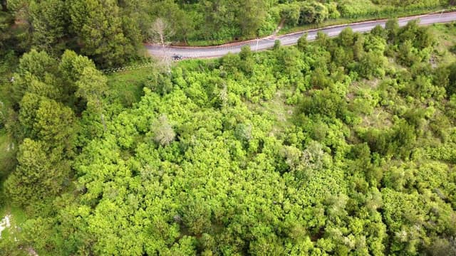 TERRENO EN VENTA EN MESA RICA VALLE DE BRAVO