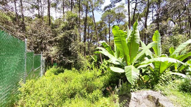 TERRENO EN VENTA, MESA DE JAIMES VALLE DE BRAVO