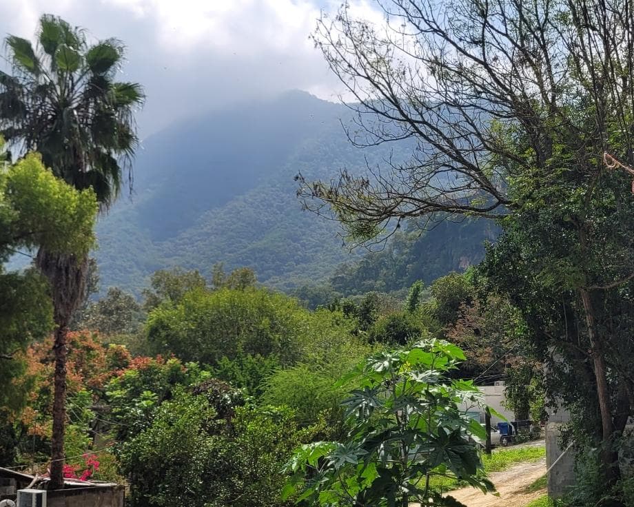Fotos adicionales