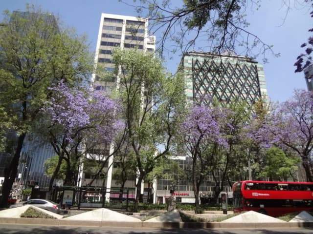 Oficina en renta CDMX, Cuauhtémoc, Avenida Paseo de la Reforma