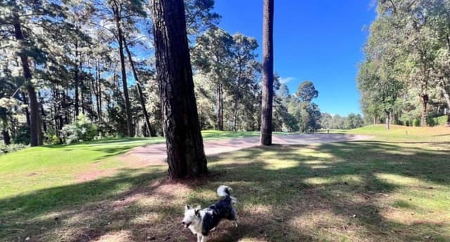 TERRENO EN VENTA, RANCHO AVÁNDARO