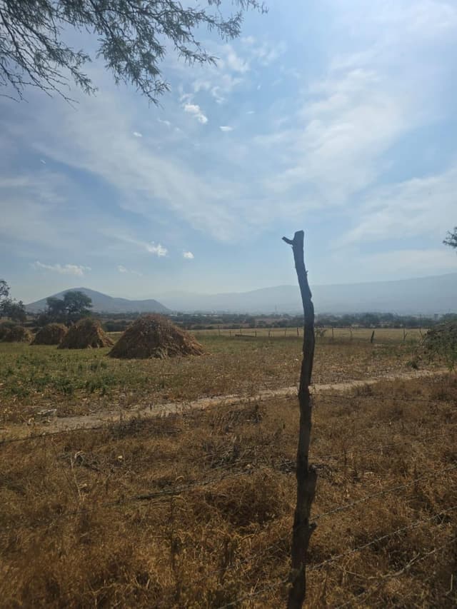 Terreno en venta de una hectárea en Lomas de Tejeda, Tlajomulco, Jalisco