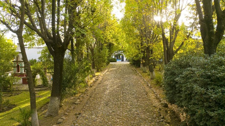 Fotos adicionales