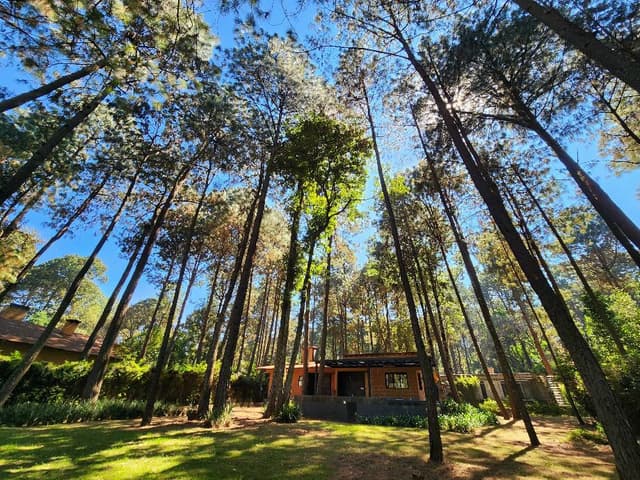 VENTA DE CASA EN CERRO GORDO