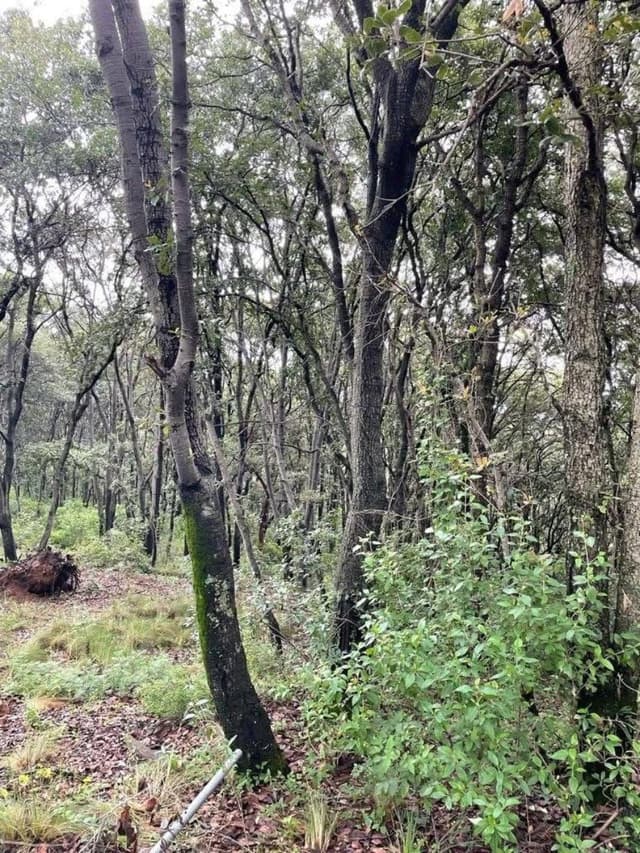 Terreno en Venta en Rancho Blanco, Espíritu Santo, Jilotzingo, Estado de México