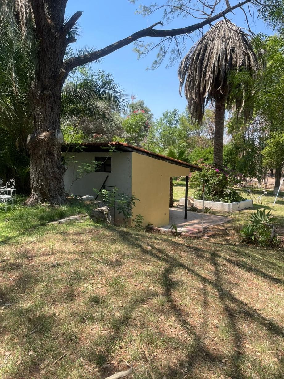 Fotos adicionales