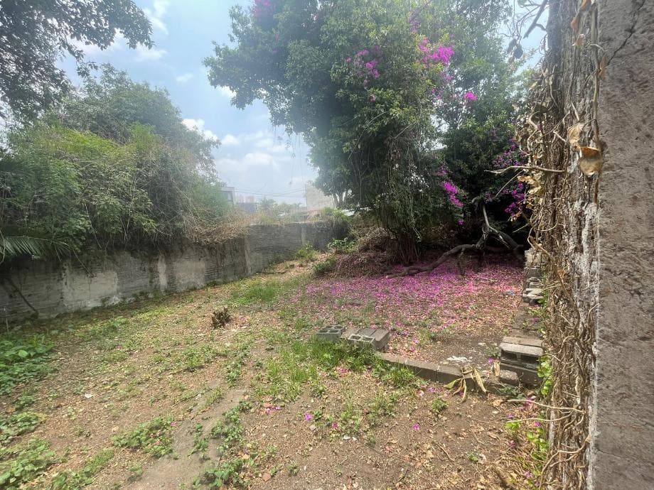 Fotos adicionales